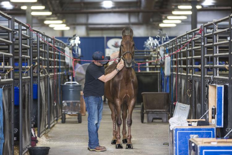 Photos Scenes from the Madison Classic Horse Show Local News