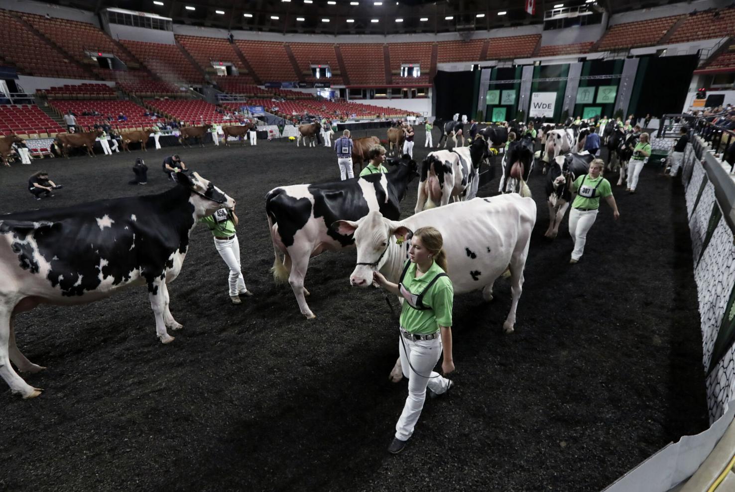 The Dane County Coliseum opened in 1967 and for over five decades has served as a show ring during World Dairy Expo.