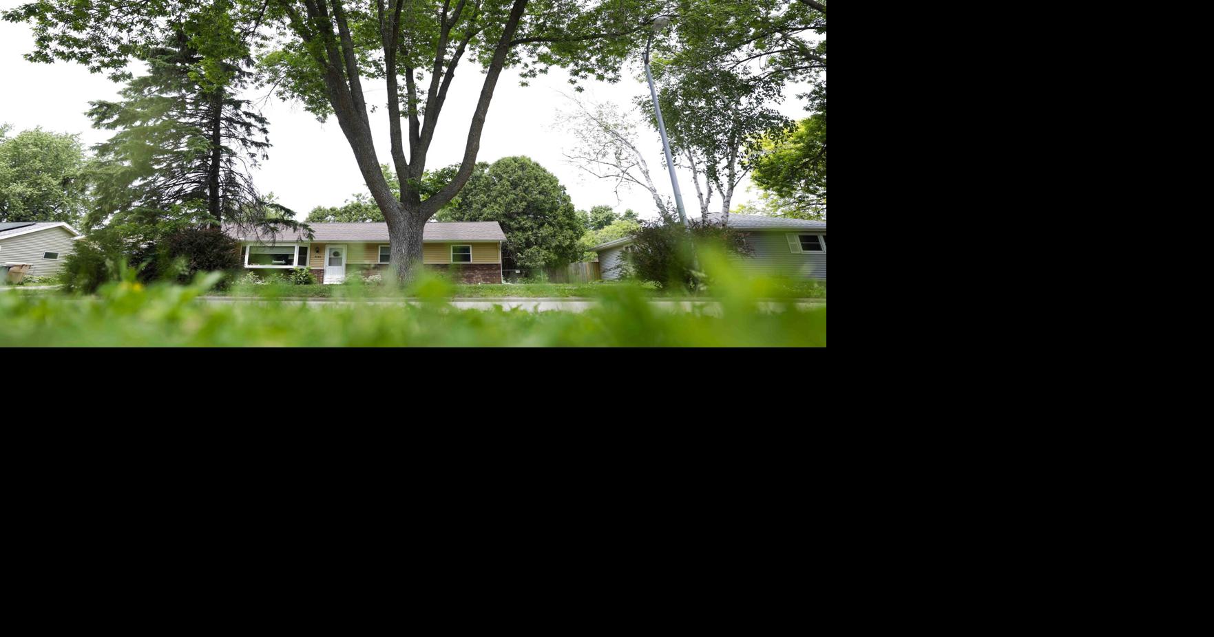 A little bug decimated Madison’s urban forest. Now it’s on the mend.