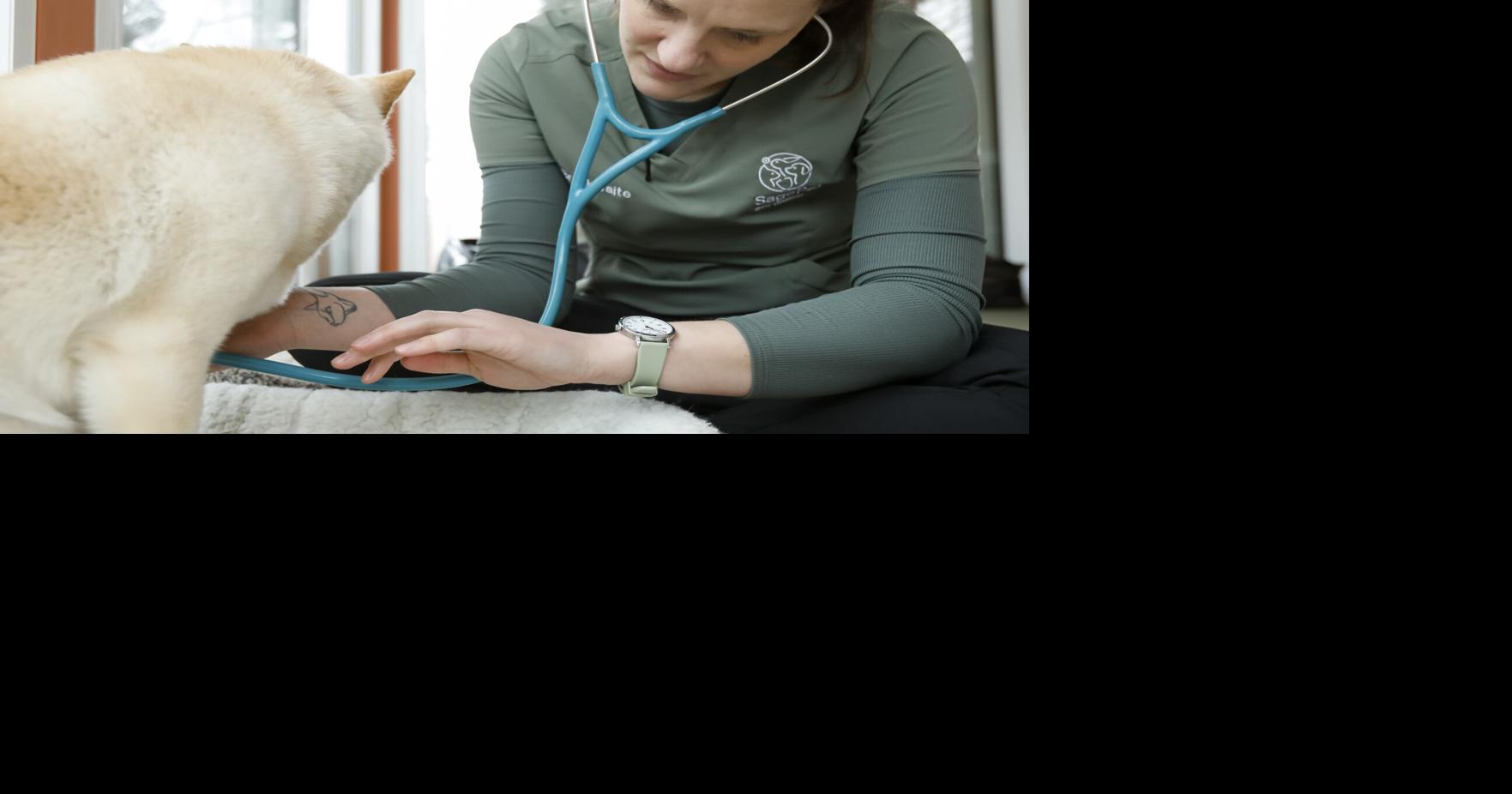 Meet the Madison veterinarian who makes house calls for senior pets