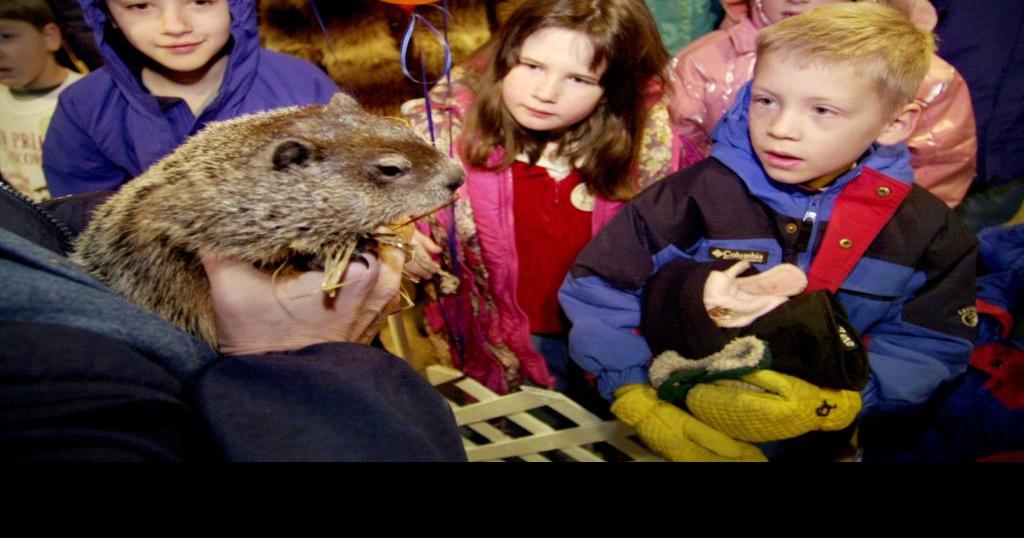 Photos Jimmy the Groundhog through the years Local News