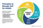 Soil health principles graphic