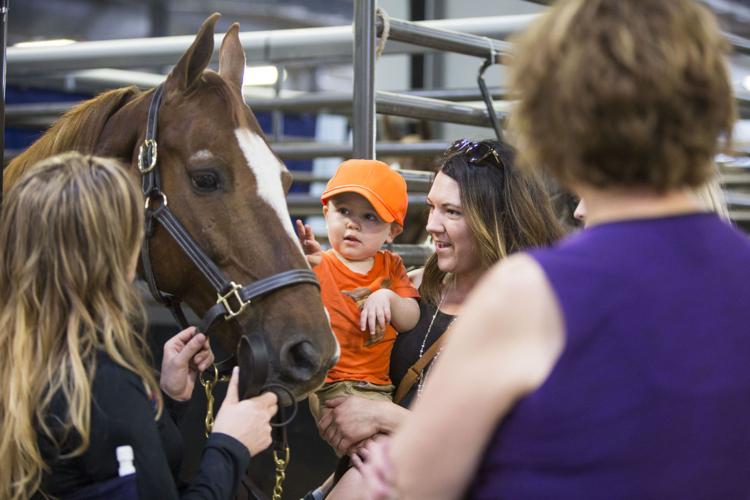 Photos Scenes from the Madison Classic Horse Show Local News