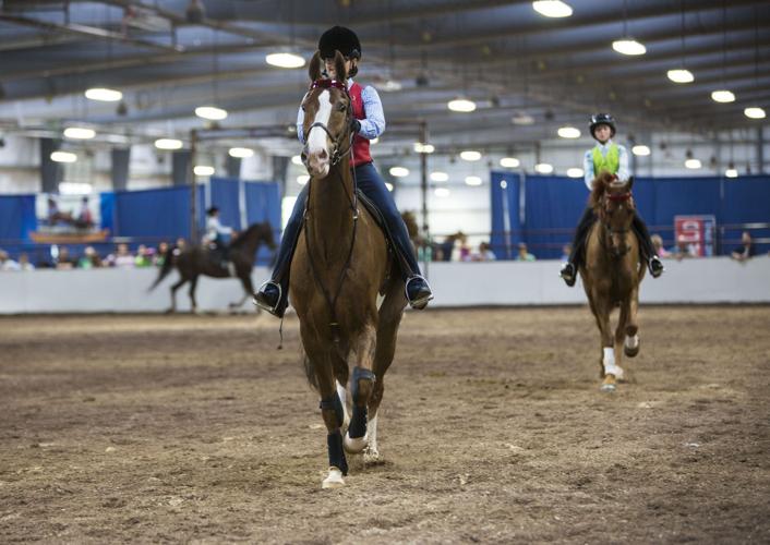 Photos Scenes from the Madison Classic Horse Show Local News