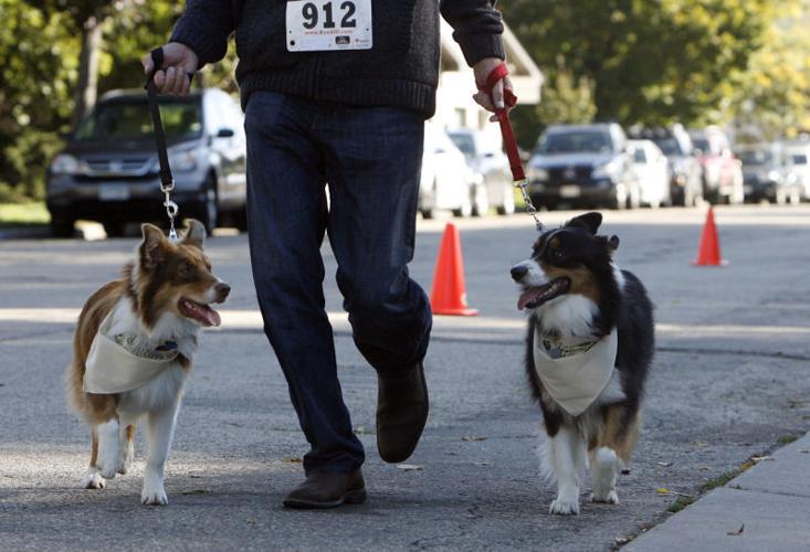 Photos: Dogtoberfest's Six-Legged Race | Local News | captimes.com