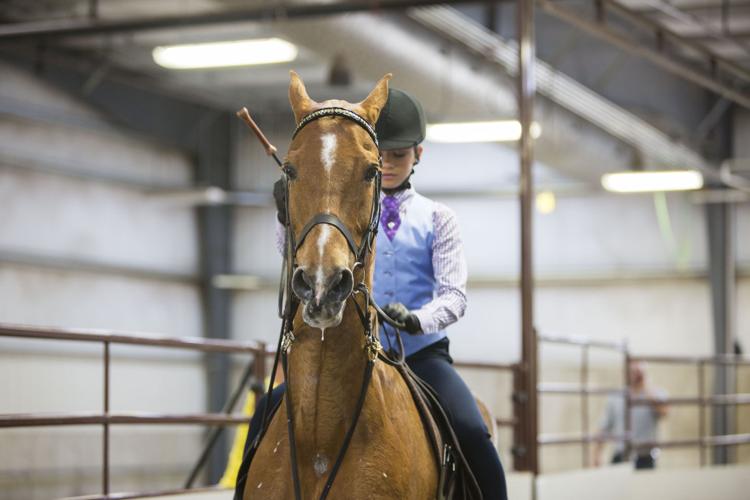 Photos Scenes from the Madison Classic Horse Show Local News