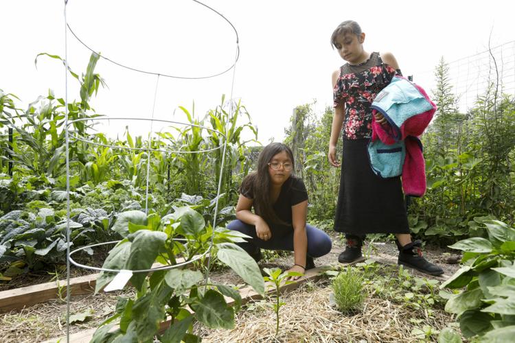 Students' gardening knowledge blooms through new MSCR summer project