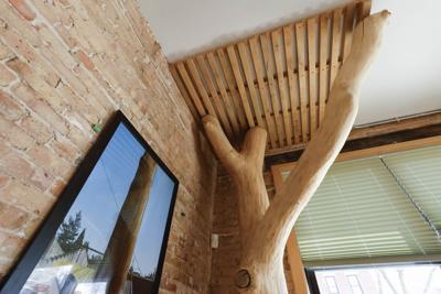 Whole trees anchor Madison construction company’s growing business