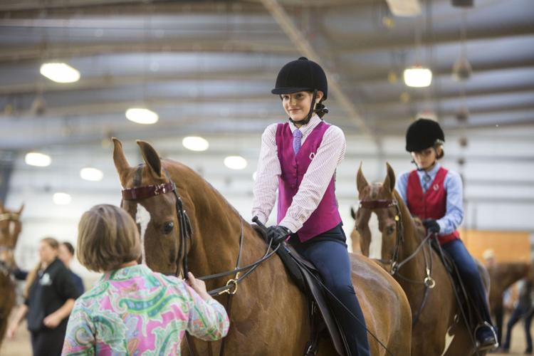 Photos Scenes from the Madison Classic Horse Show Local News