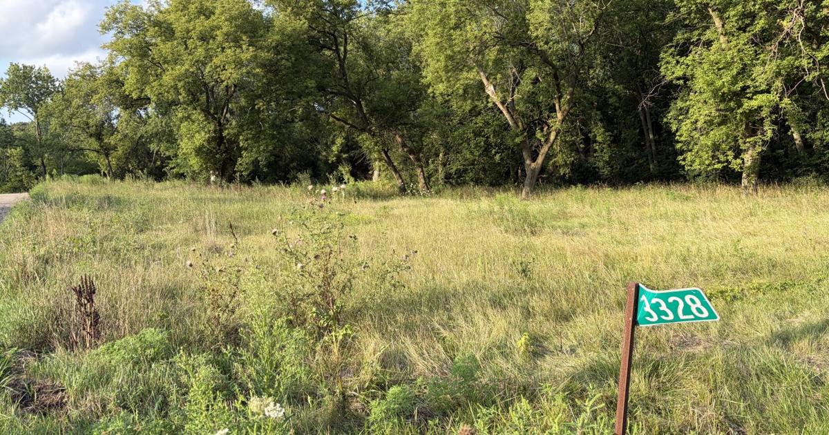 Madison to acquire 200 acres for ‘naturalized park space’