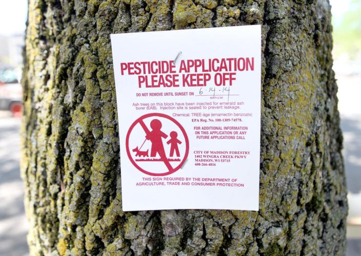 Photos: Ash tree chemical injection demonstration | Local News ...