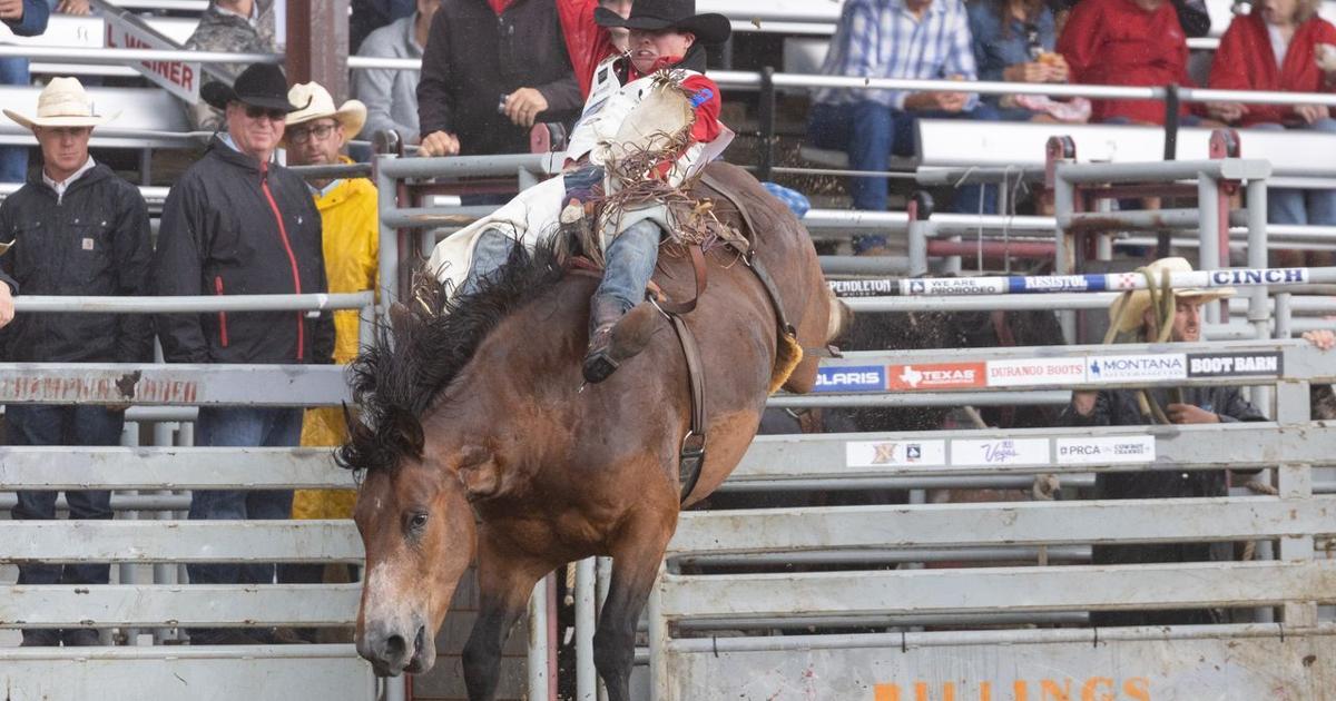Redcliffe Rodeo Red Lodge Home of Champions Rodeo Results | News | carboncountynews.com