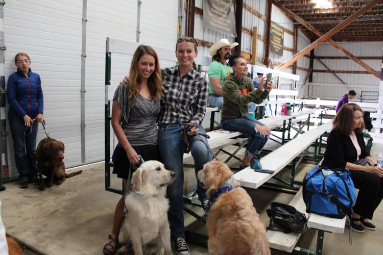 Every Dog Has Its Day at the CC 4H Dog Show News