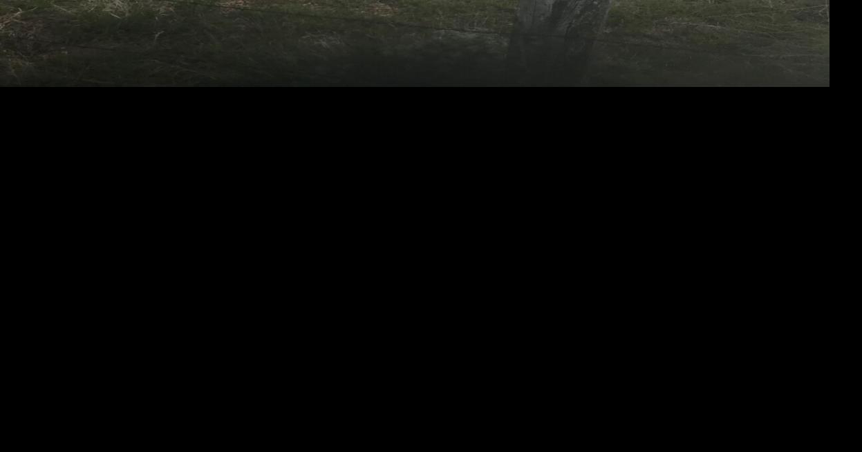 Bridger appears on radar as airport dogfight continues News