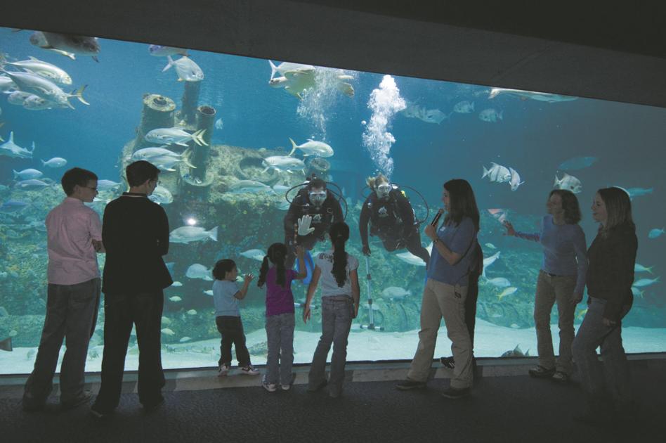 NC Aquariums close to the public News