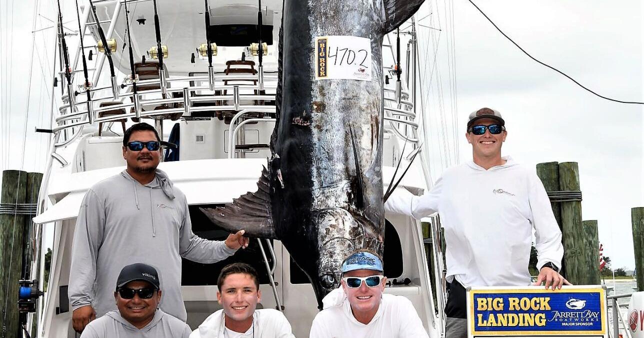 C-Student at top of class with 470.2-pounder on day one of 65th annual Big Rock Blue Marlin Tournament - Vimarsana News