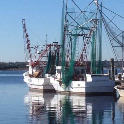 Commercial Shrimp Trawling: the profit does not out weigh the