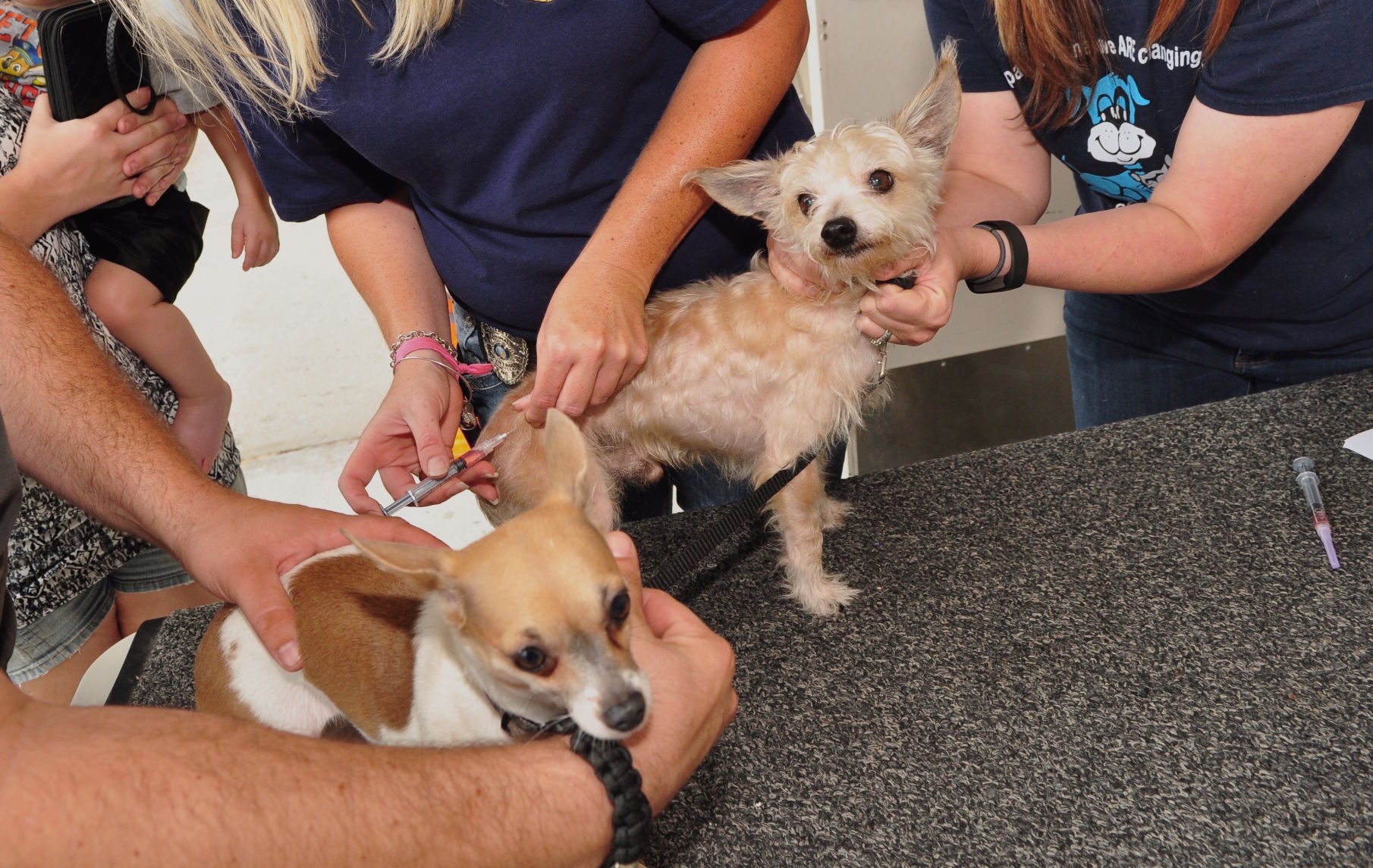 free pet vaccinations near me today