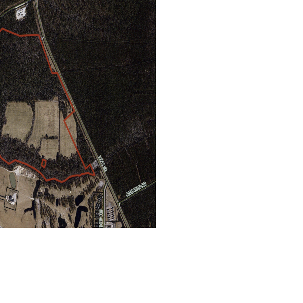 Bogue Sound Watermelons ripe and ready News