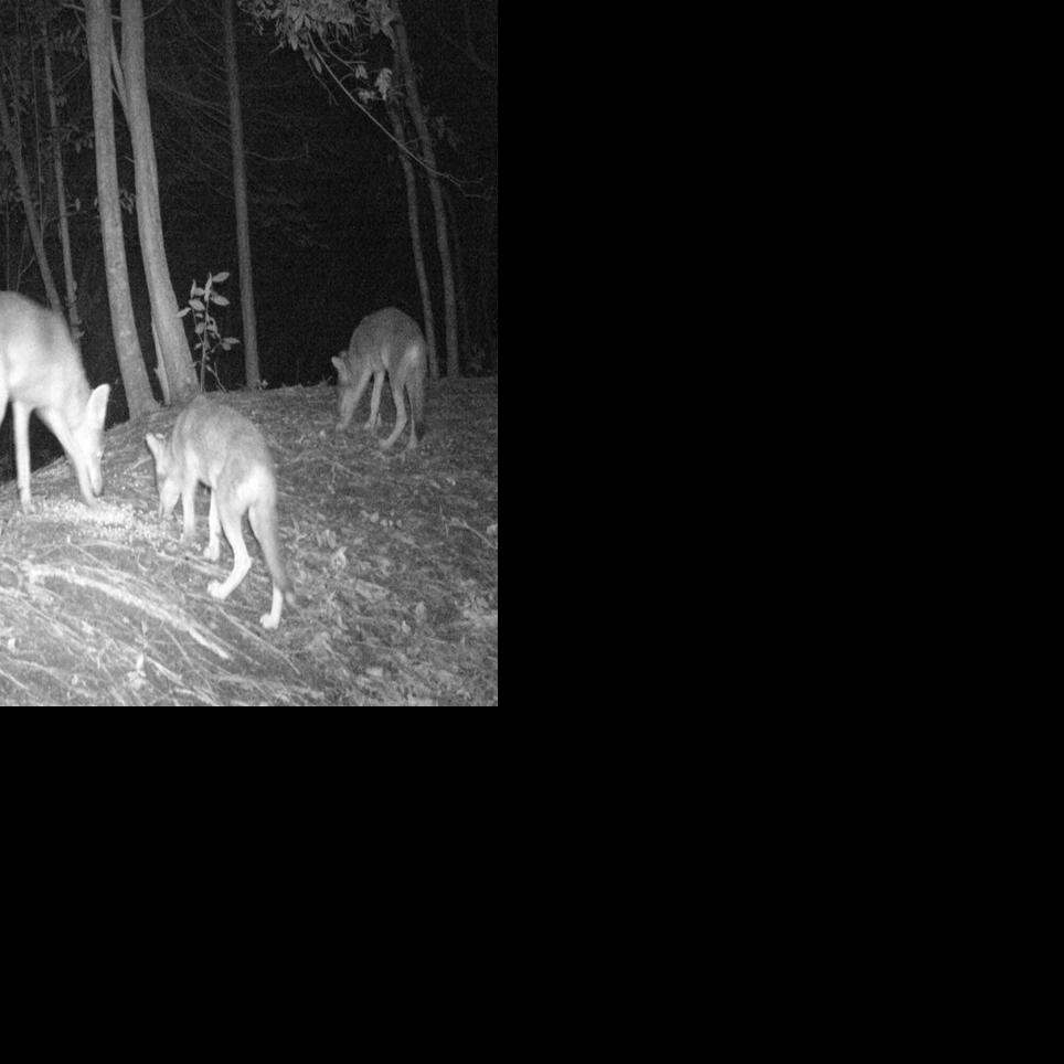 Channel Marker closes doors News