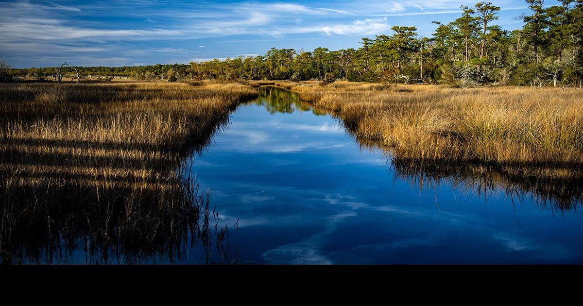 EPA, N.C. Coastal Federation announce major carbon reduction grants | News