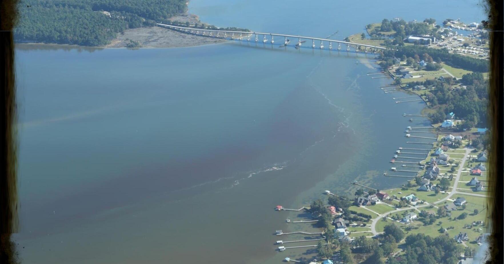 Coastal Carolina Riverwatch to start initiative to combat 'growing threat' of harmful algae blooms | News - Vimarsana News