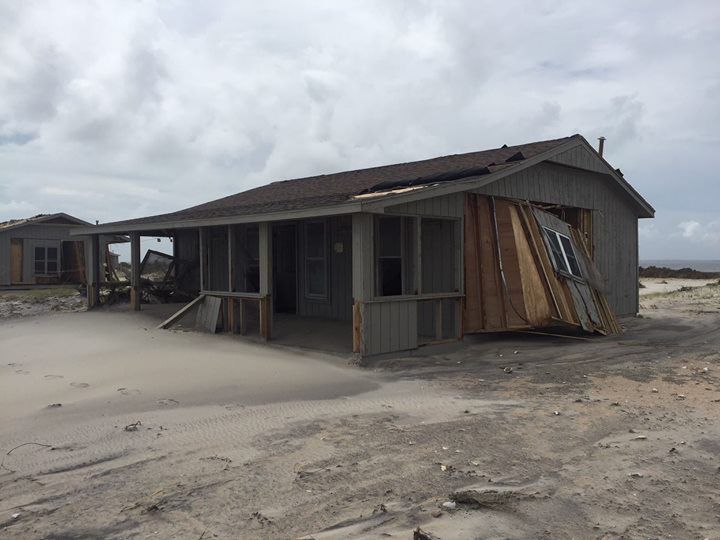 Cape Lookout Survives Storm Fate Of Shackleford Horse Herd