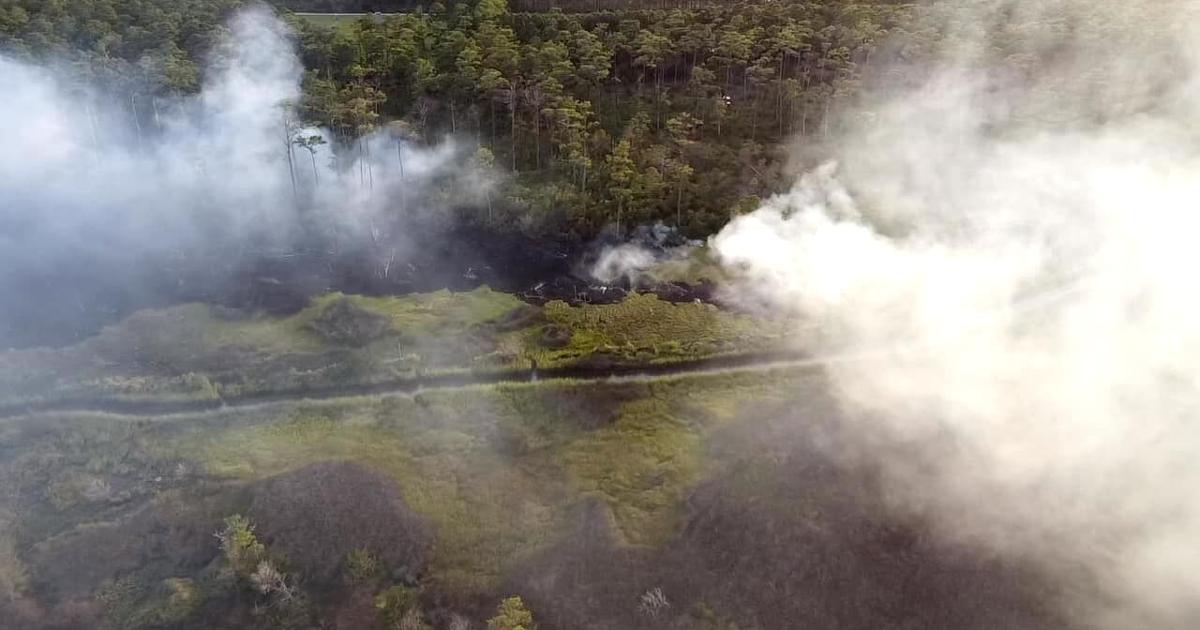 Otway Ranges Fire Woods fire burns 8 acres off Crow Hill Road in Otway | News ...