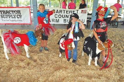 Carolina Meat Goat Showmanship Competition Photo
