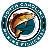 Marine Fisheries Commission to meet May 20-22 in Beaufort