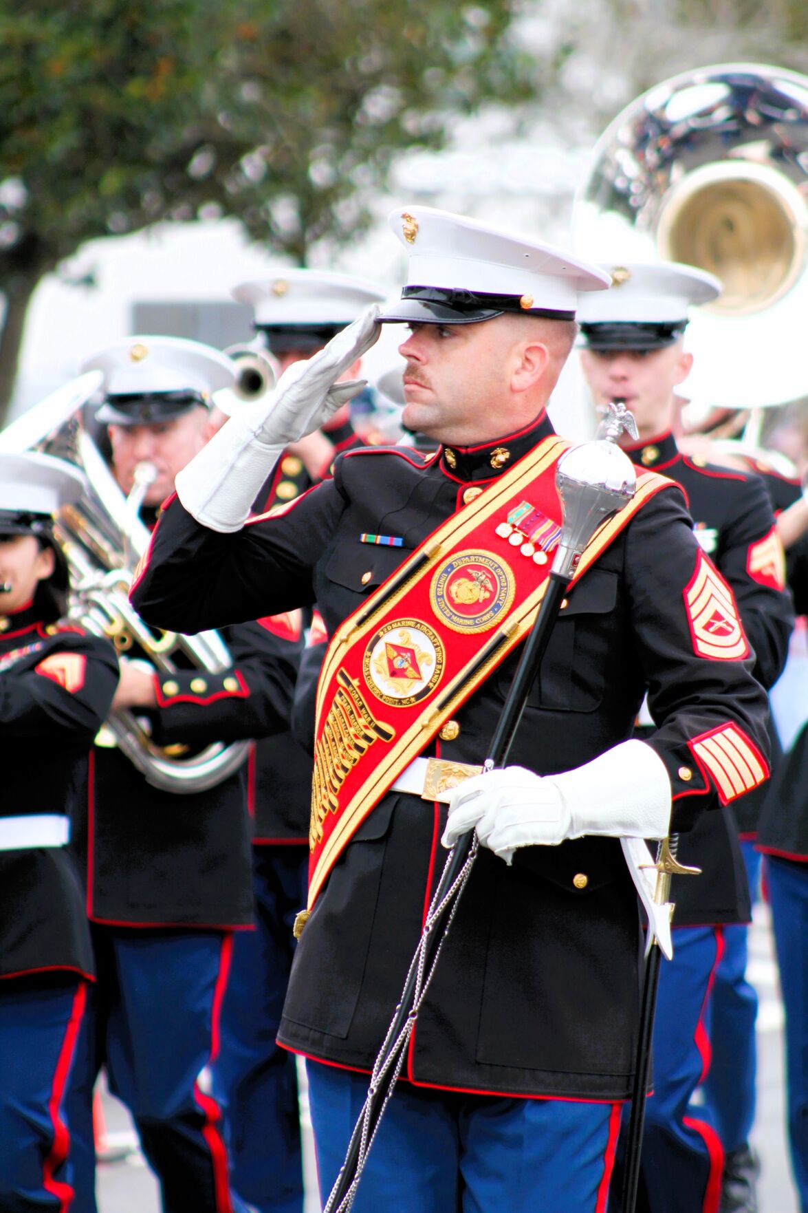 Veterans Day Parade Makes Triumphant Return After Three-year Absence ...