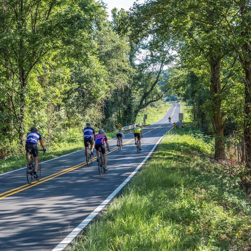 Fashion mountain to coast bike ride