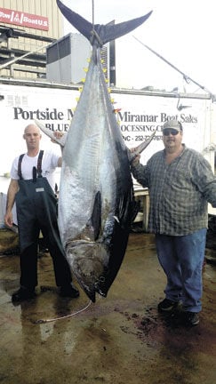 Big bluefin tuna off to Japan, News