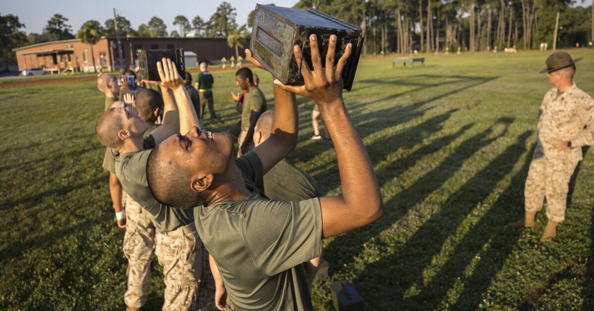 'The Few, the Proud' aren't so few: Marines recruiting surges while other services struggle - Vimarsana News
