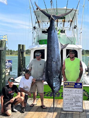 Two more blue marlin brought to scale on day three; C-Student still tops  leaderboard with 470.2-pounder, News