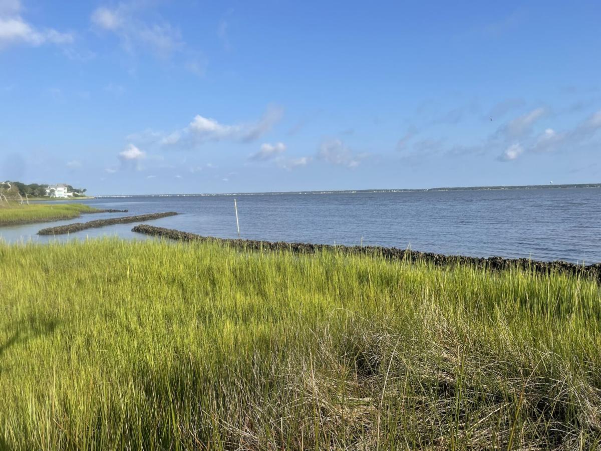 NC Coastal Habitat Protection Plan amendment headed to state agency for review