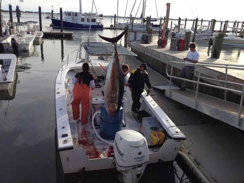 Fishermen Report Tuna Season Off To A Slow Start News Carolinacoastonline Com