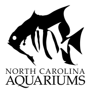 North Carolina Aquariums