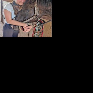 Horse therapy | News | carolinacoastonline.com