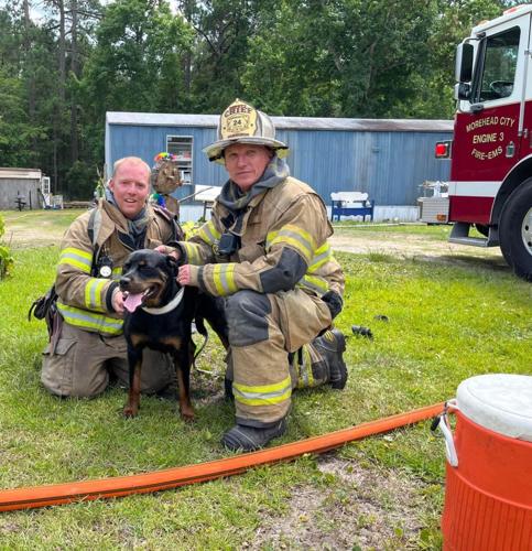 Dog rescued from house fire | News | carolinacoastonline.com