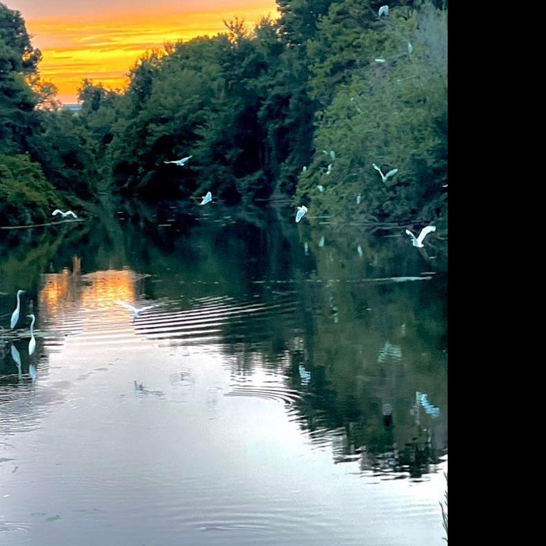 It’s Bogue Sound Watermelon time Food And Drink