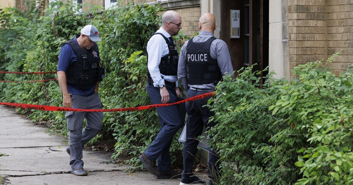 8-year-old Chicago girl fatally shot by man upset with kids making noise, witnesses say - Vimarsana News
