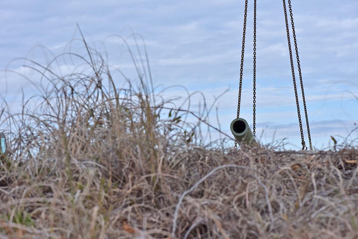 In the weeds