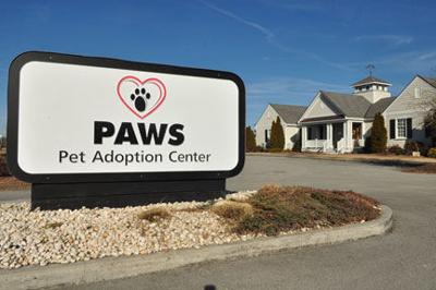 Work Continues On Paws Shelter News Carolinacoastonline Com