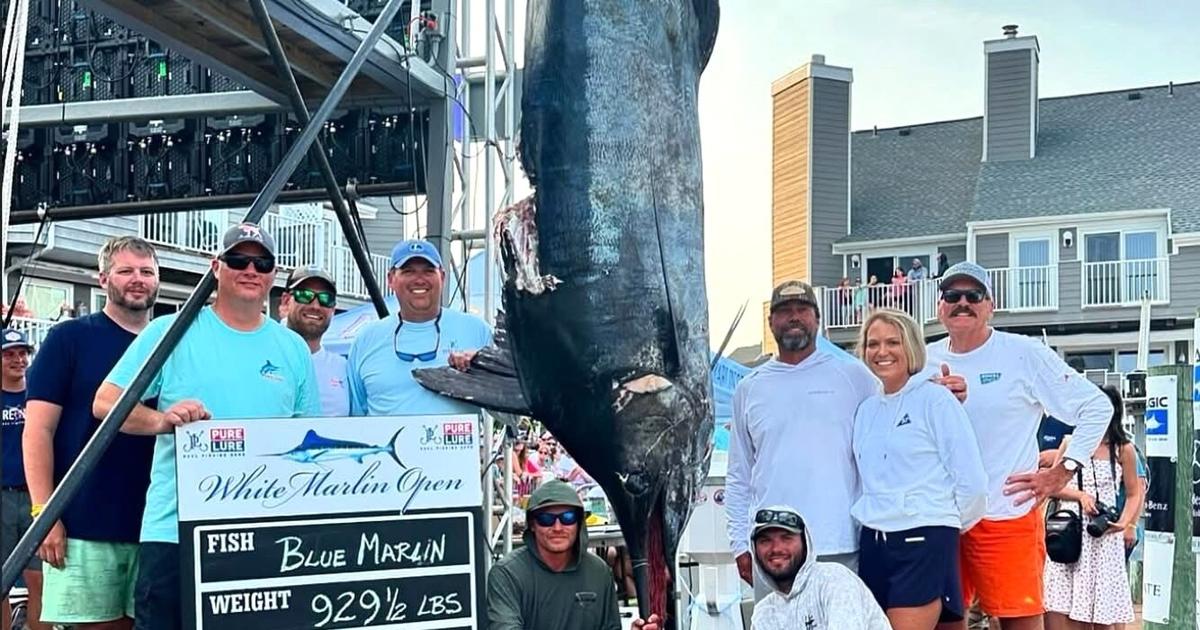 blue marlin columbia sc dress code Blue Marlin