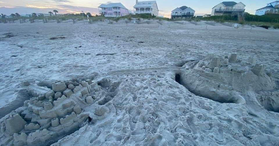 Emerald Isle sea turtle team leader urges beachgoers to fill holes, knock down sandcastles before leaving strand - Vimarsana News