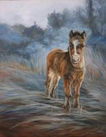 Wild Horses of Outer Banks Art Show open all month