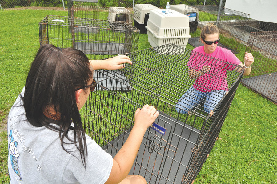 Shelter evacuates animals ahead of Dorian
