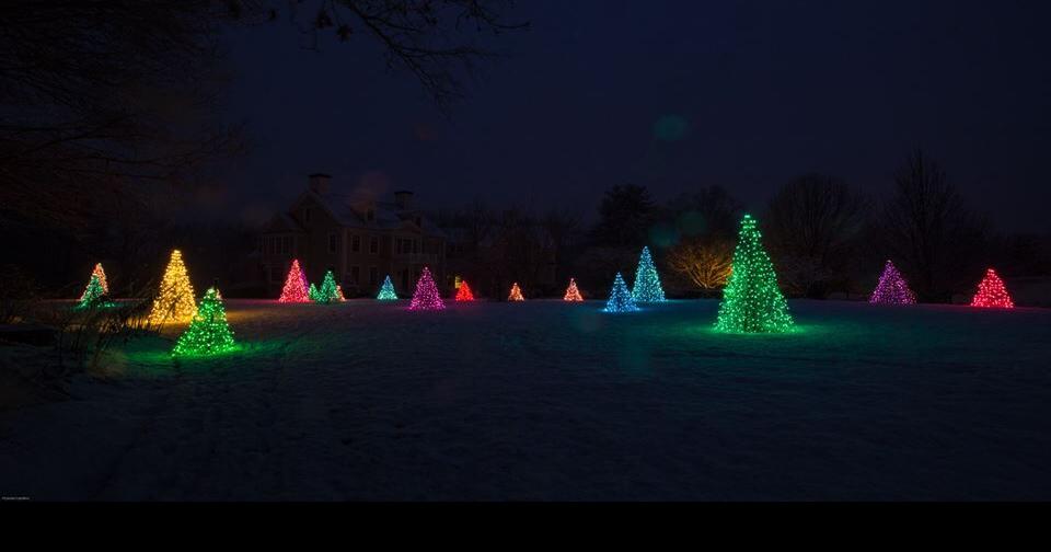 Crab Pot Christmas Trees, Shibumi Shade in the running for ‘coolest