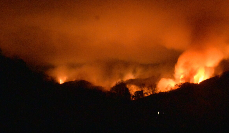 NC leads nation in wildfire risk as fall fire season approaches